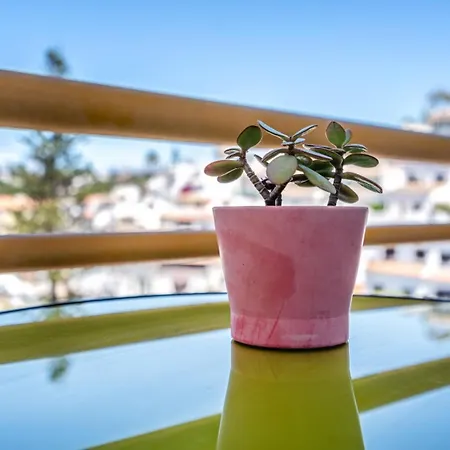 Papis Карвоейру