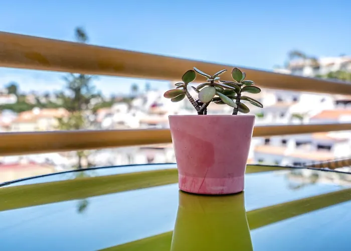 Papis Καρβοέιρο